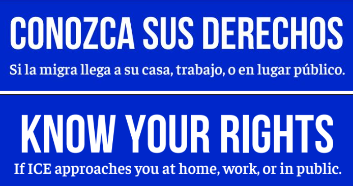 Know Your Rights Spanish and English